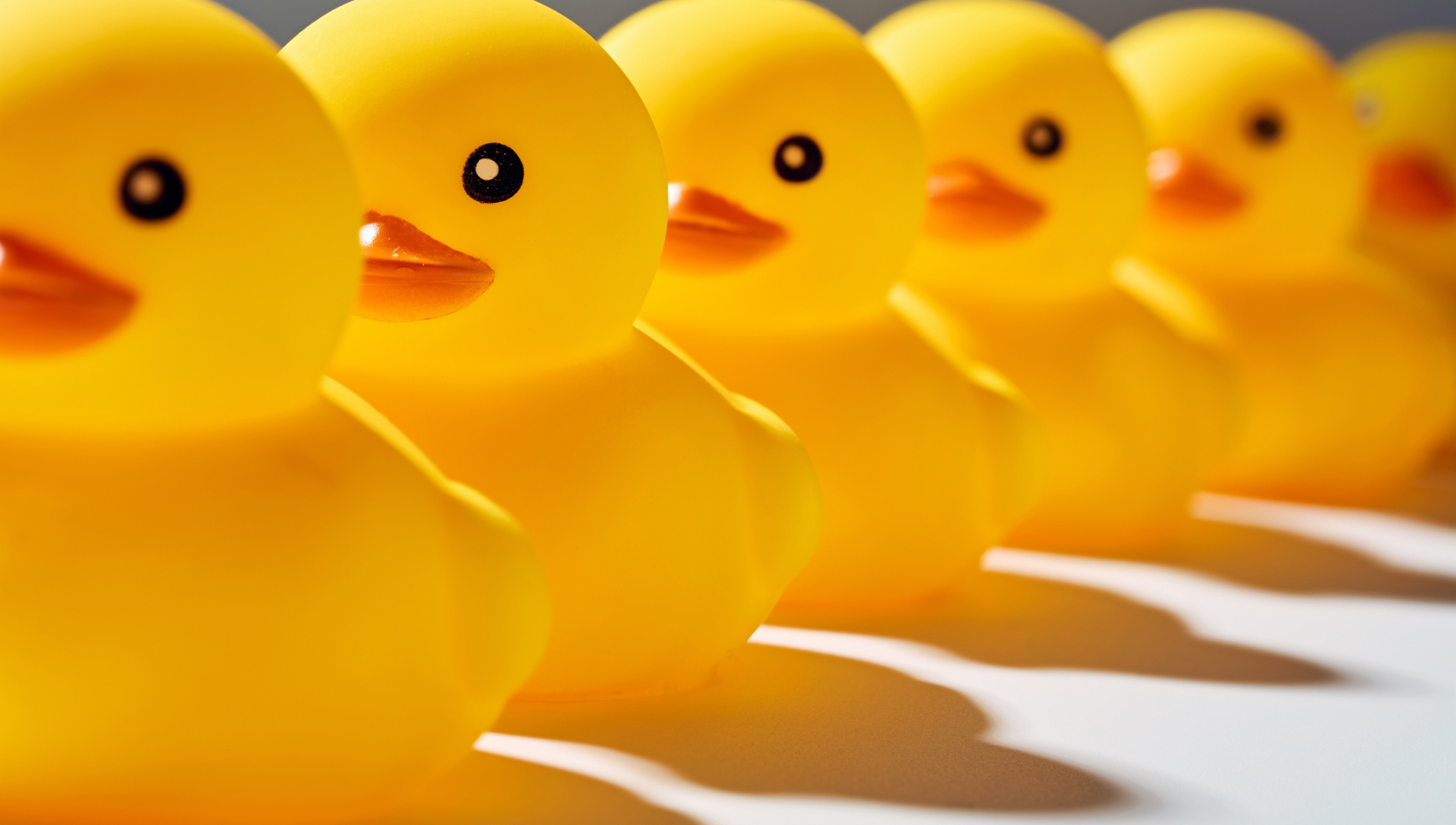 Risk Management From Compliance To Strategy Boardpro